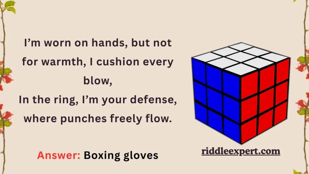 Riddles About Boxing Gear