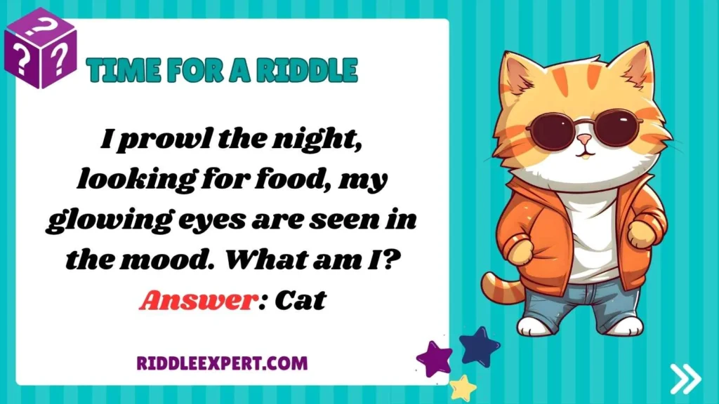 Riddles About Creatures of the Night