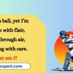 Riddles About Cricket