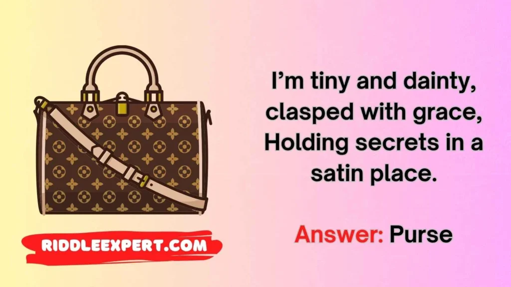 Riddles About Purses & Handbags