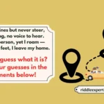 Road Trip Riddles