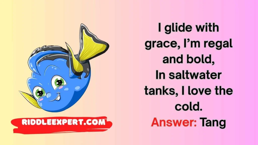 Saltwater Stars Riddles