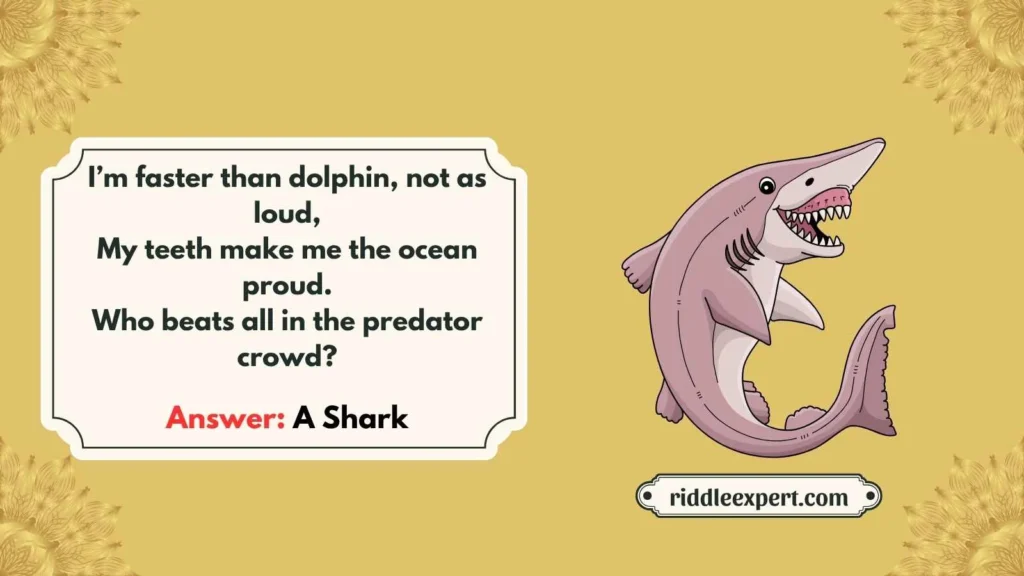 Shark Riddles Featuring Other Animals