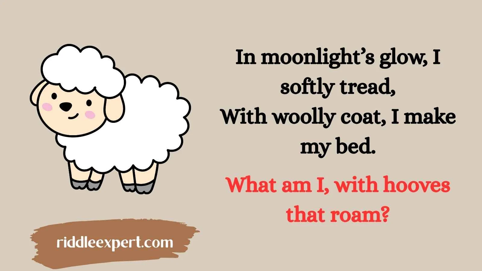 Sheep Riddles