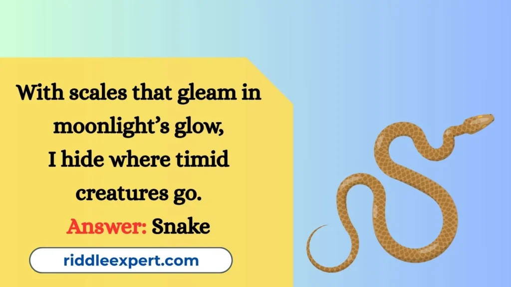 Slithering Shadows