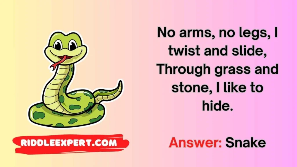 Slithering Snake Riddles