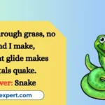Snake Riddles