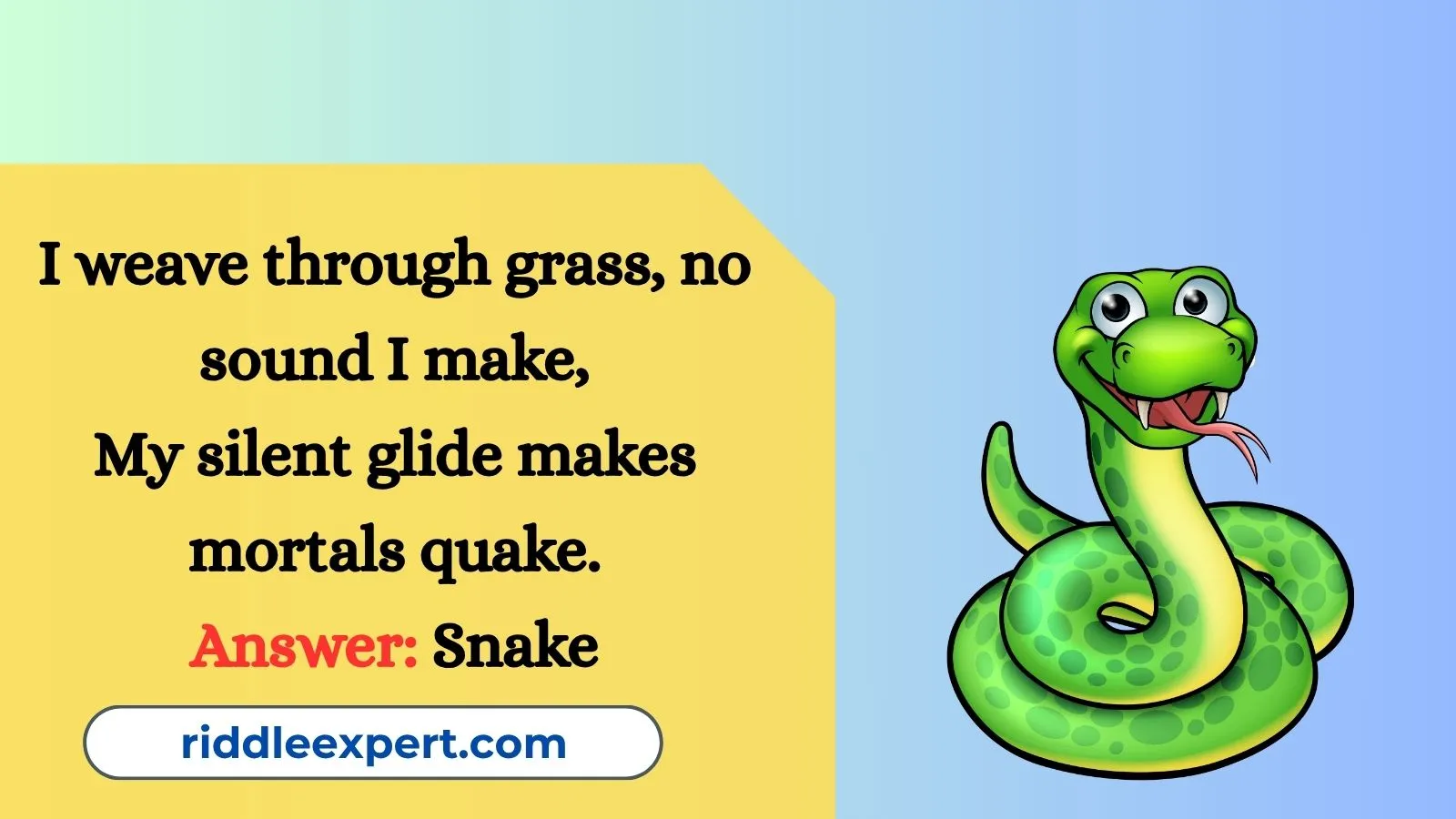 Snake Riddles