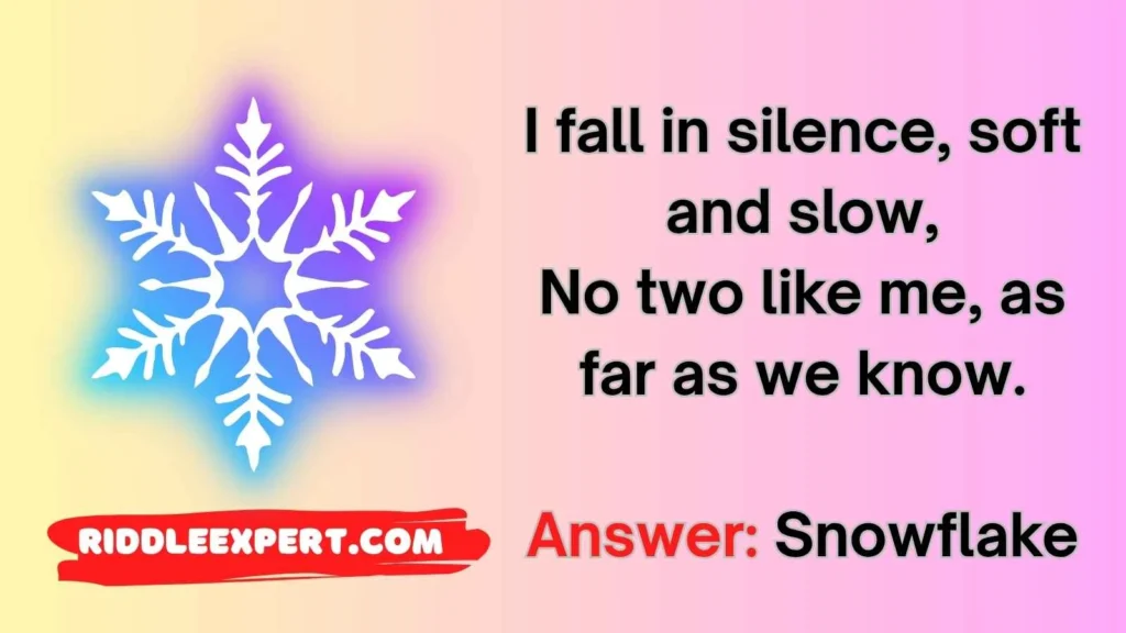 Snowflake Riddles