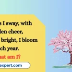 Spring Riddles