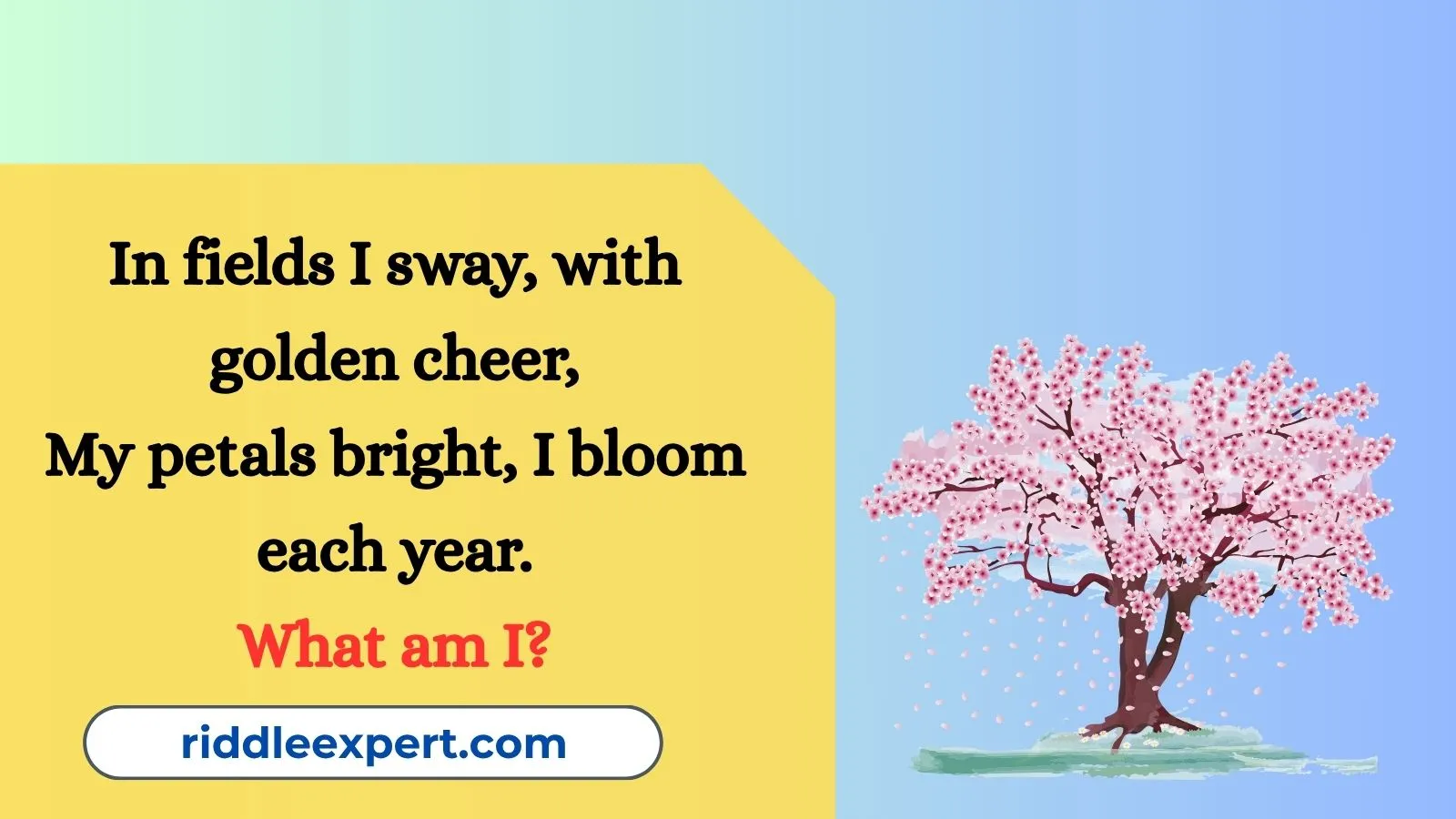 Spring Riddles