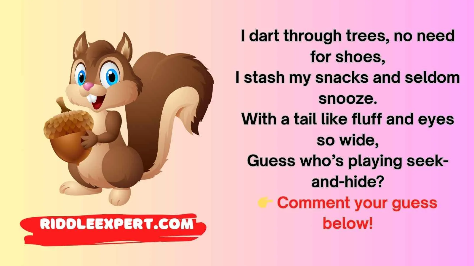 Squirrel Riddles