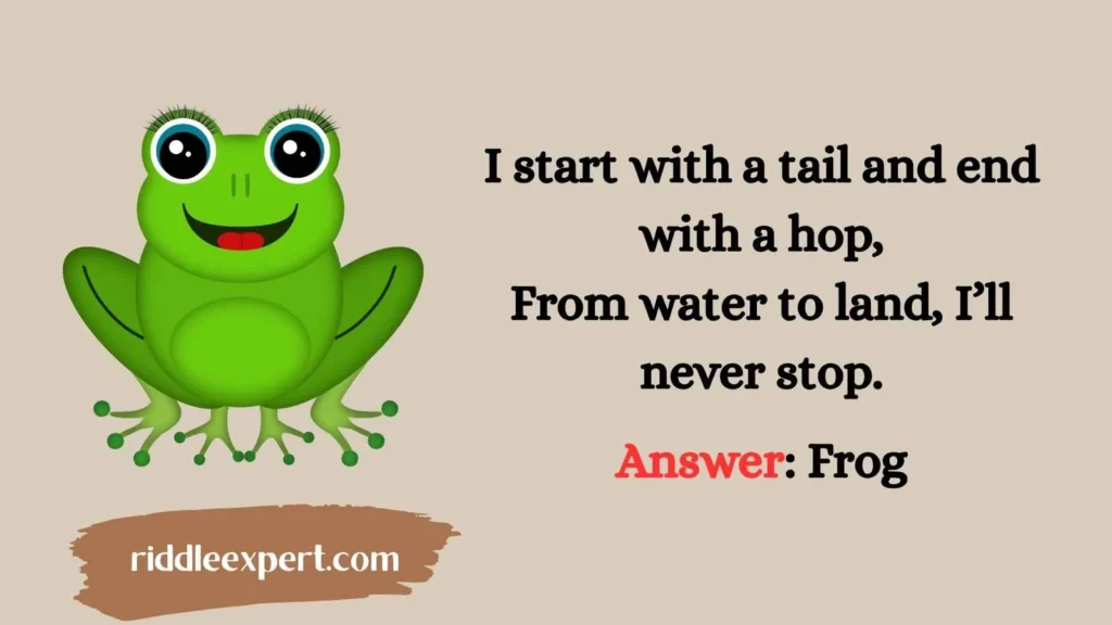 Tadpole to Frog Riddles