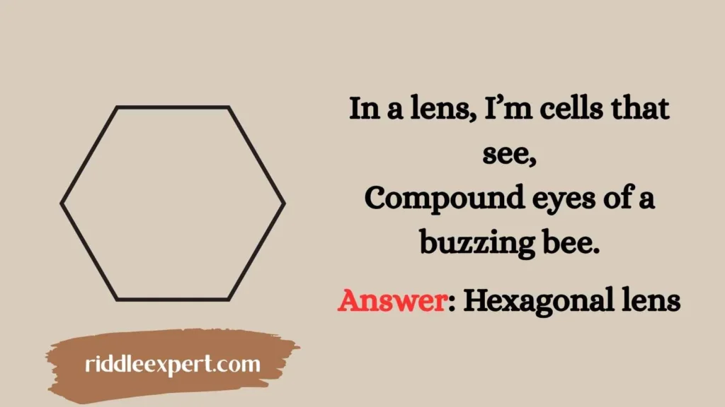 The Honeycomb’s Perfect Fit