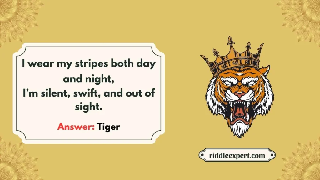 Tiger Basics