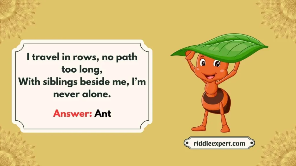 Tin Ttrailblazers Ant