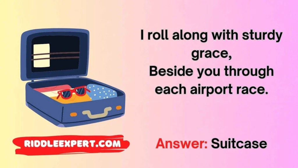 Travel & Luggage