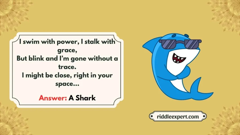 Tricky Shark Riddles