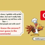 Turkey Riddles