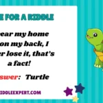Turtle Riddles