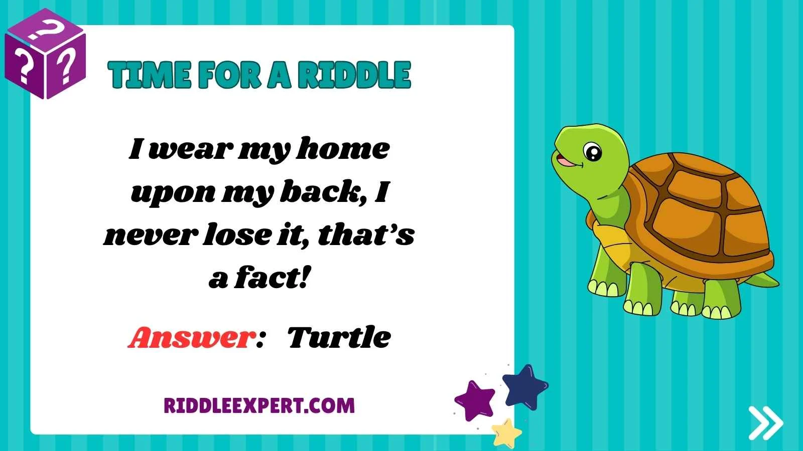 Turtle Riddles