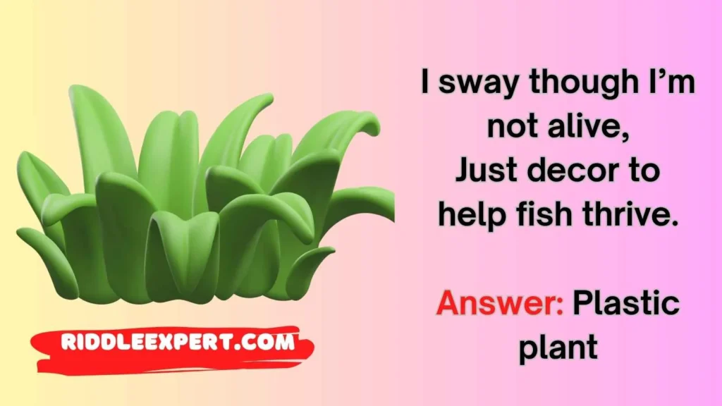 Underwater Decor Riddles