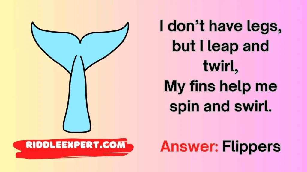 Whale Anatomy Riddles