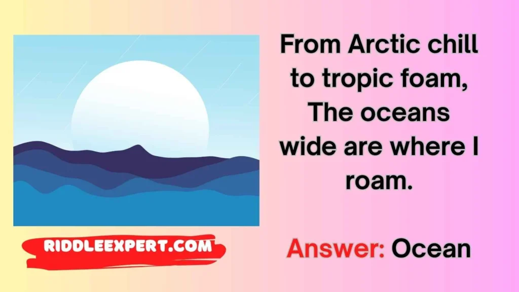 Whale Habitats Riddles