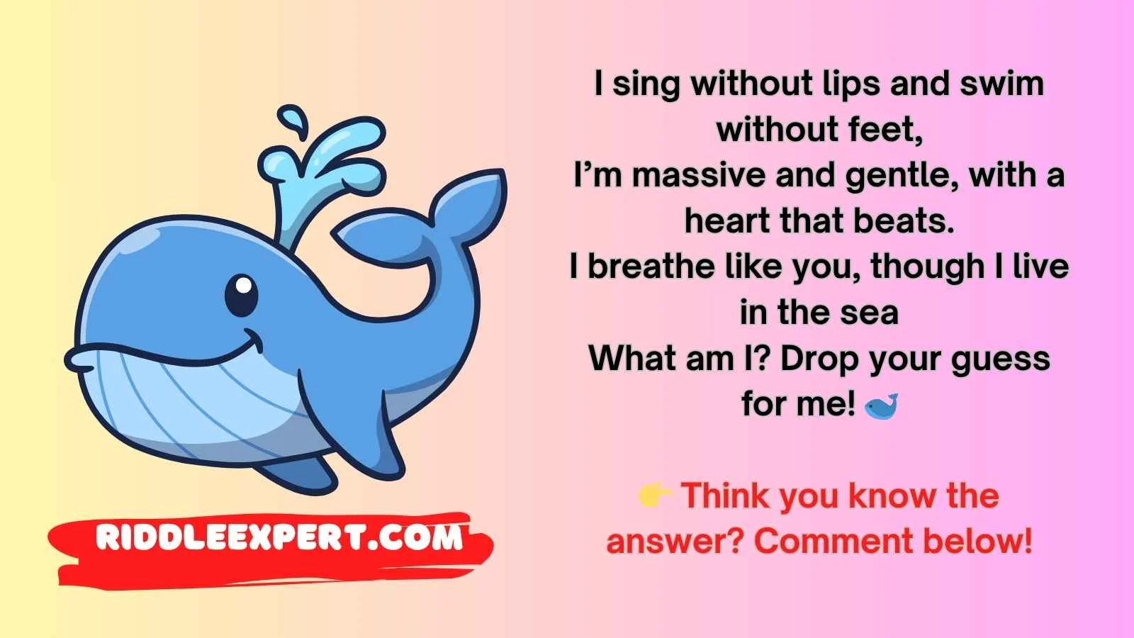 whale riddles