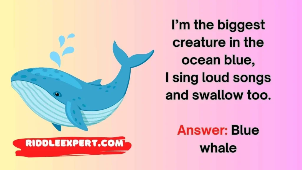 Whale Wonders Riddles
