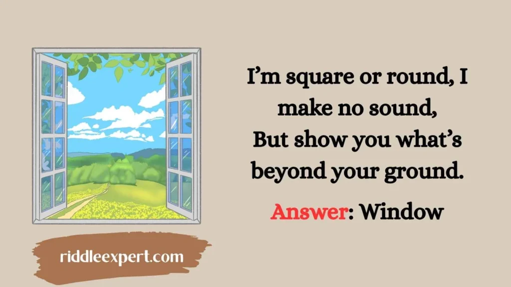 Windows into Wonder