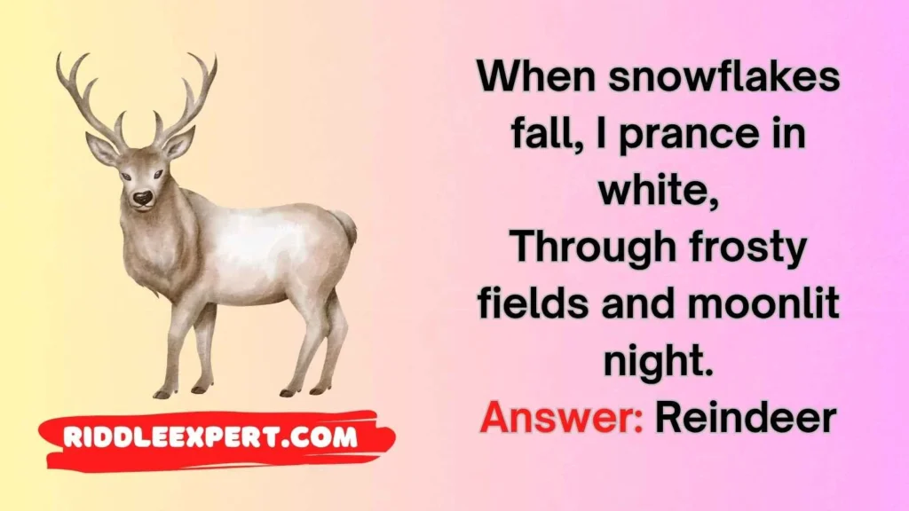 Winter & Holiday Deer