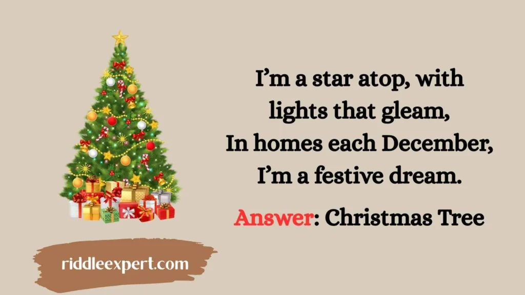 Winter Holiday Wonders