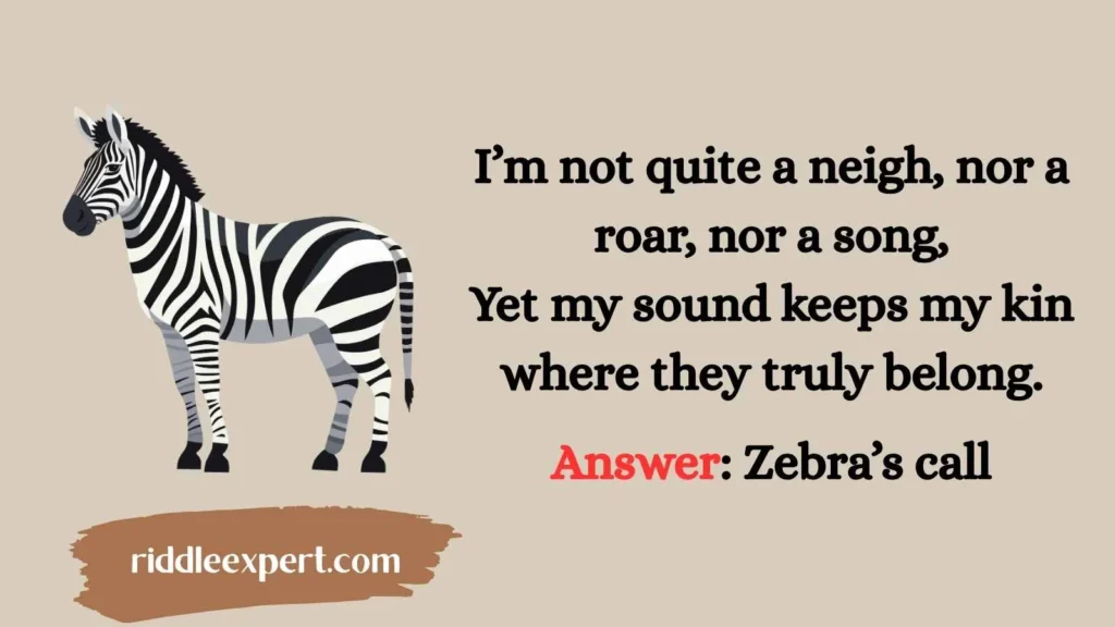 Zebras’ Wild Calls
