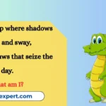 Alligator Riddles