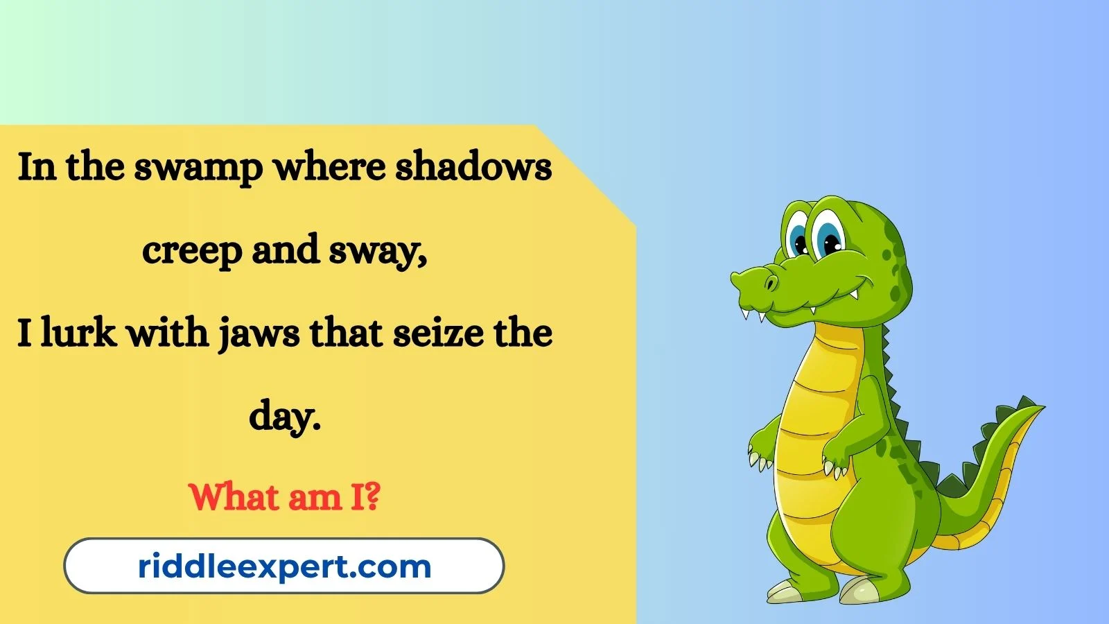 Alligator Riddles