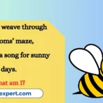 Bee Riddles