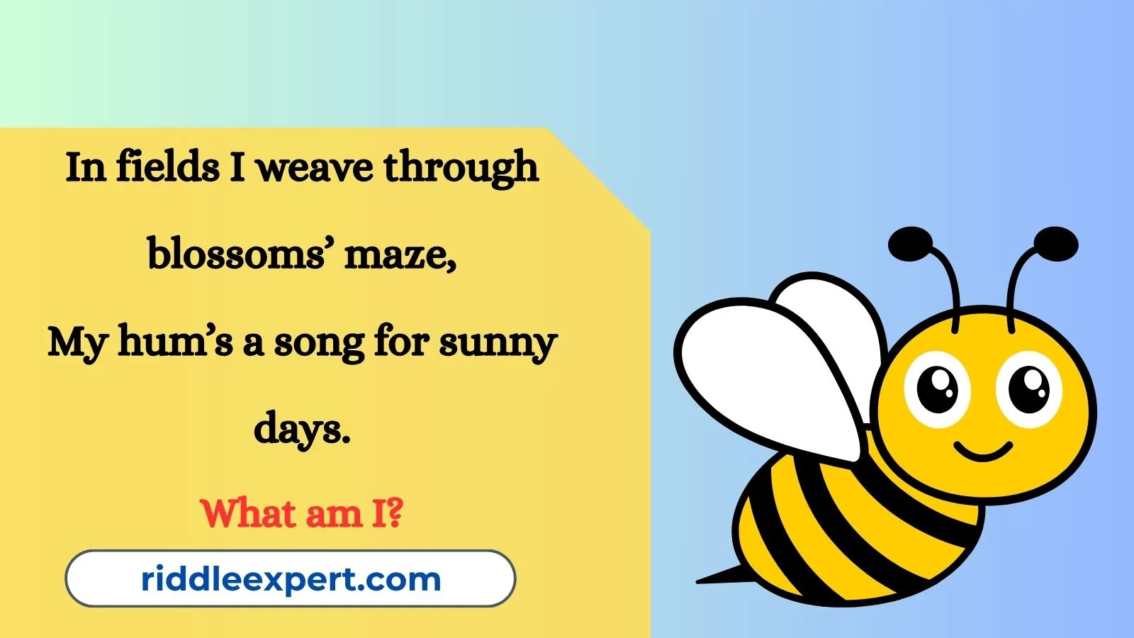 Bee Riddles