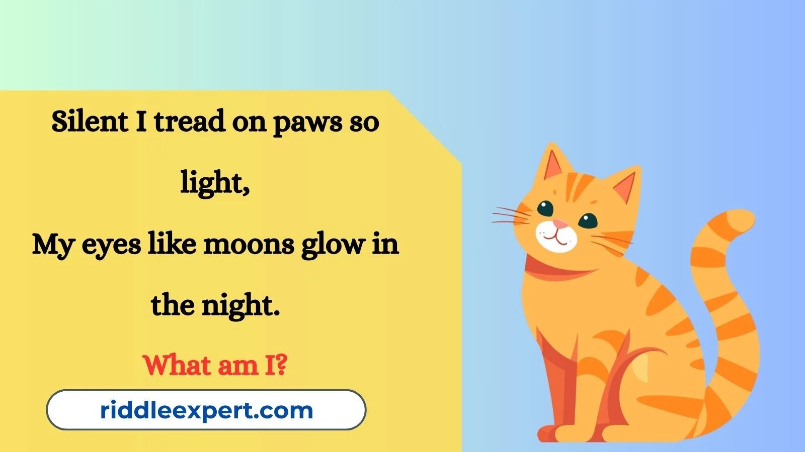 Best Cat Riddles
