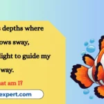 Best Fish Riddles