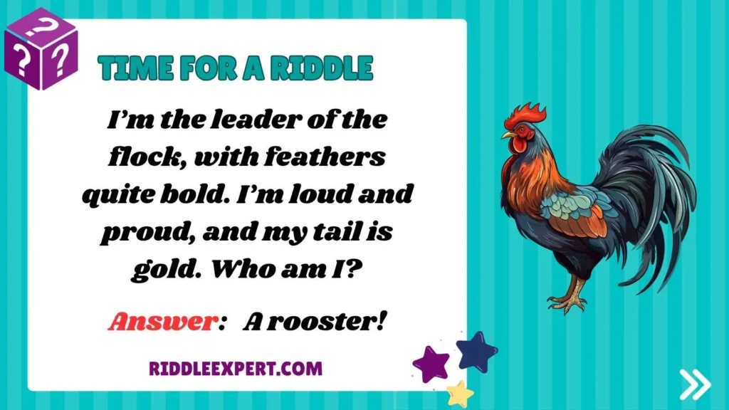 Chicken Family Riddles