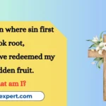 Christian Riddles