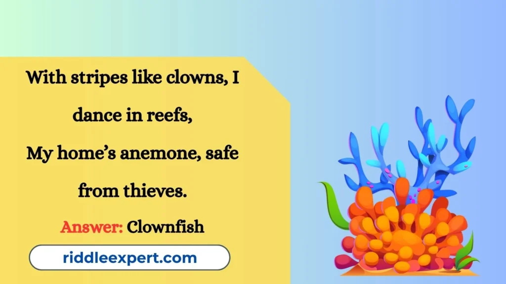 Colorful Reef Riddles
