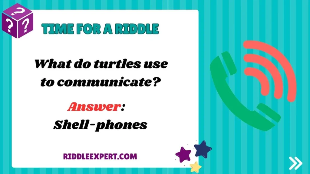 Funny Turtle Riddles