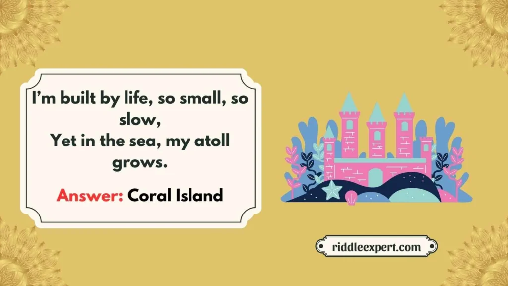 Island Coral Kingdoms