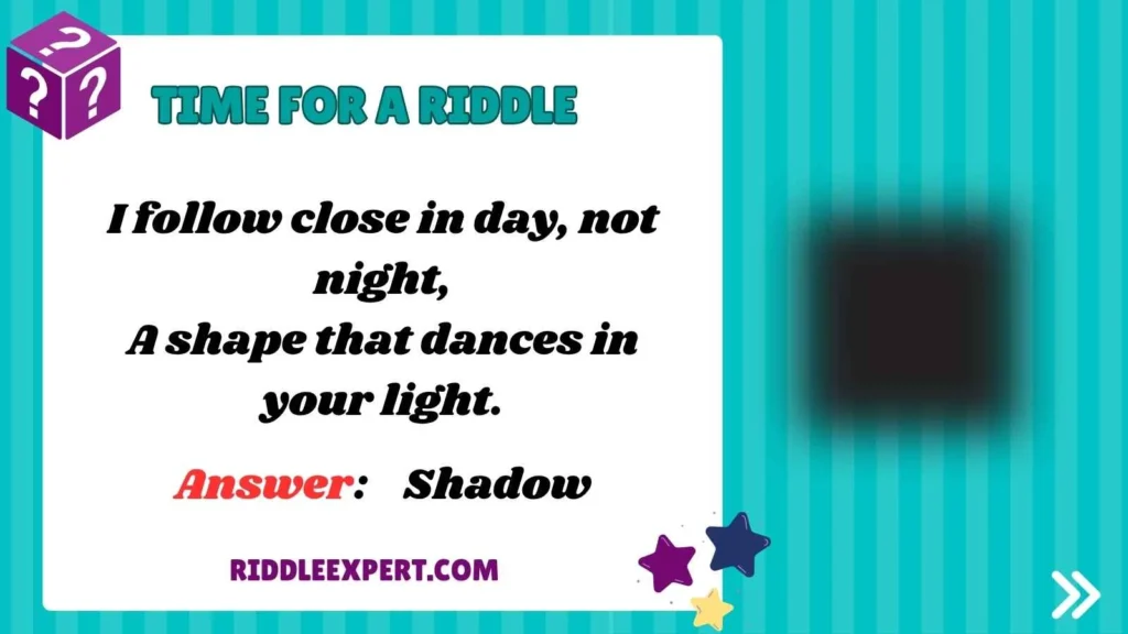 Light and Shadow