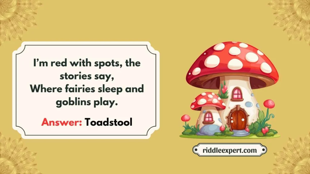 Magical & Fantasy Mushroom Riddles