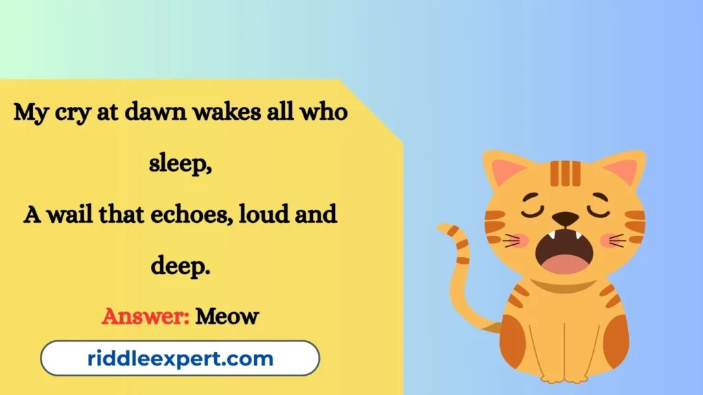 Meows and Murmurs