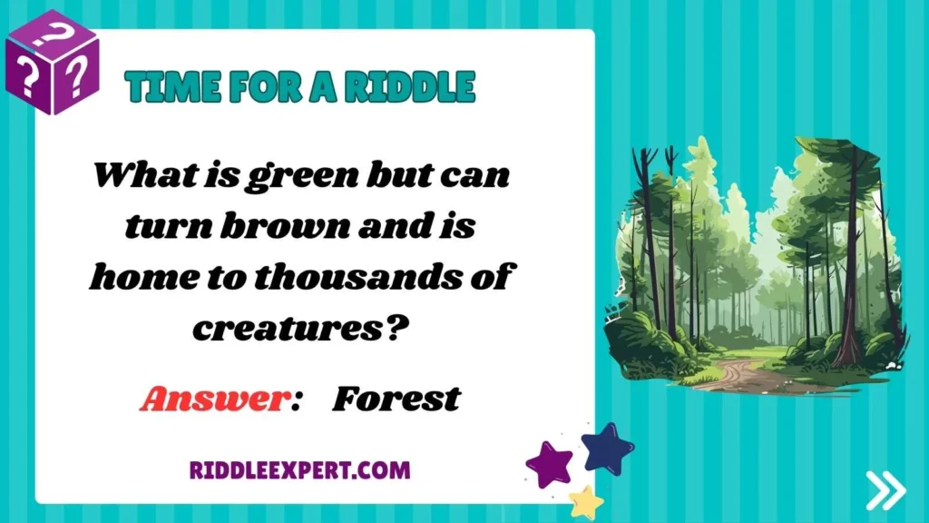 Nature-Inspired Riddles