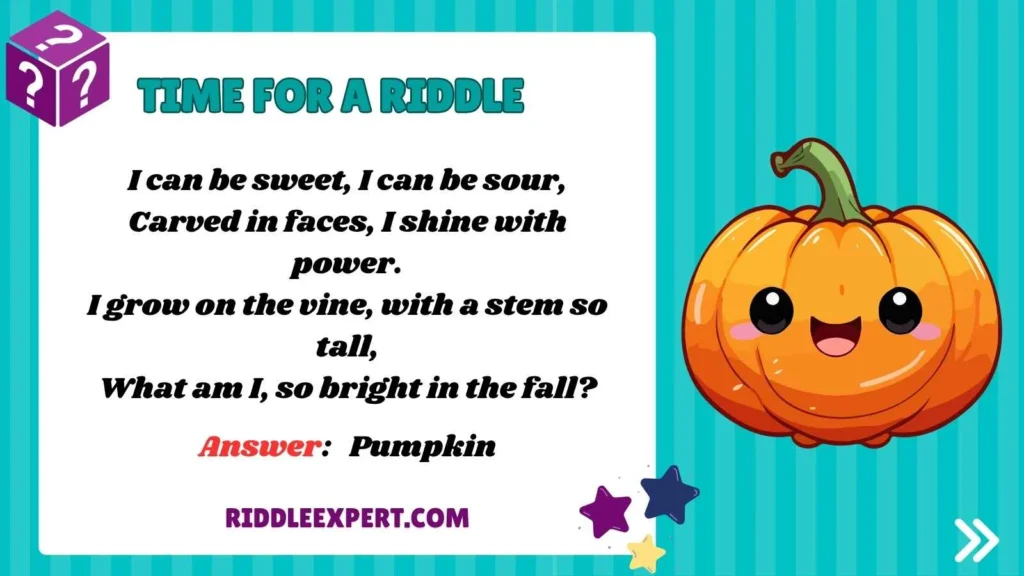 Pumpkin Patch Fun